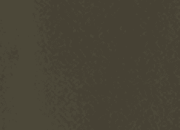 008 dark brown color preview
