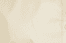 007 .beige color preview
