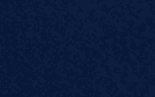 493 navy color preview