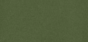 418 oil color preview