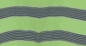 116green striped color preview