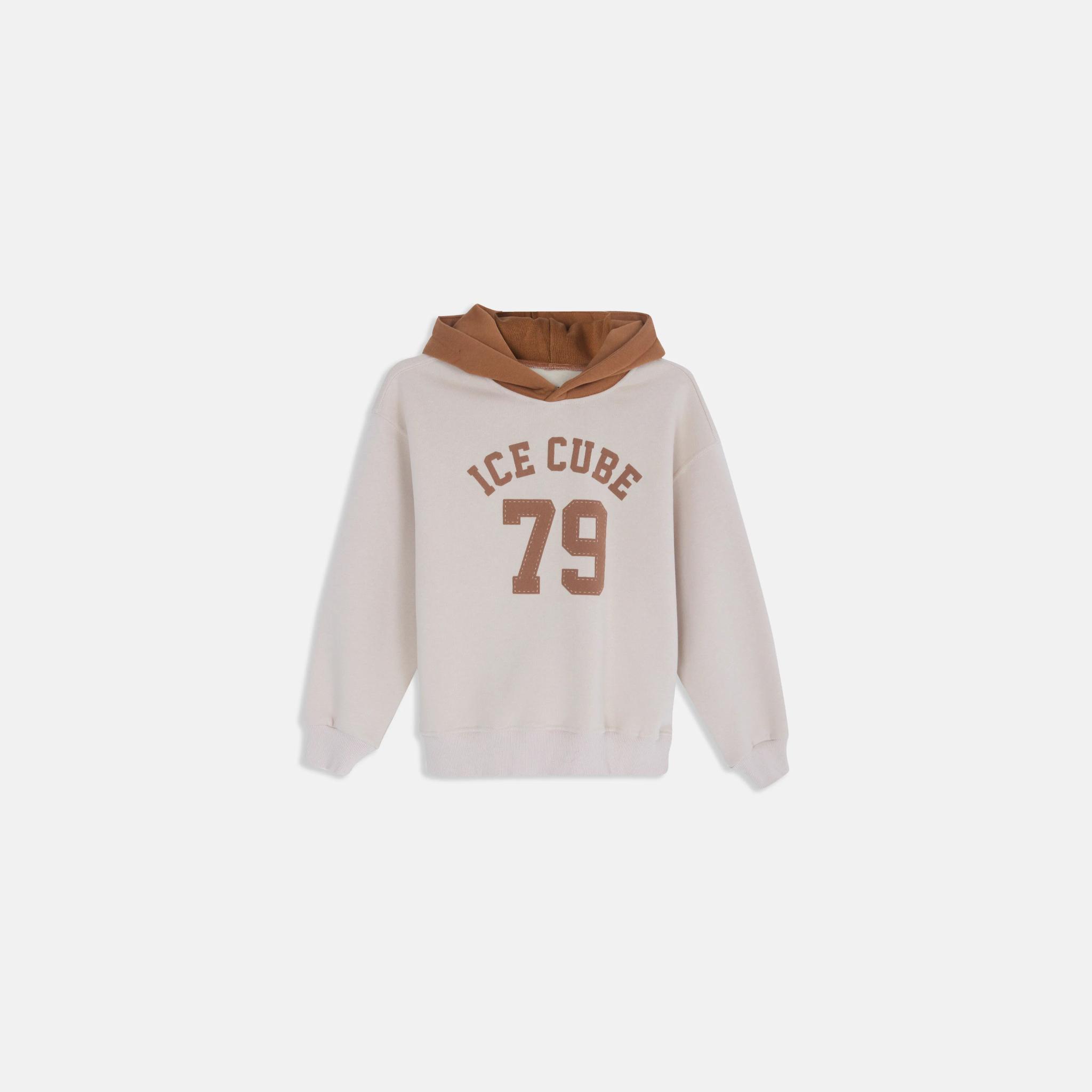 سويت شيرت بغطاء رأس متباين للأولاد alternative product image