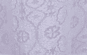 001|white color preview