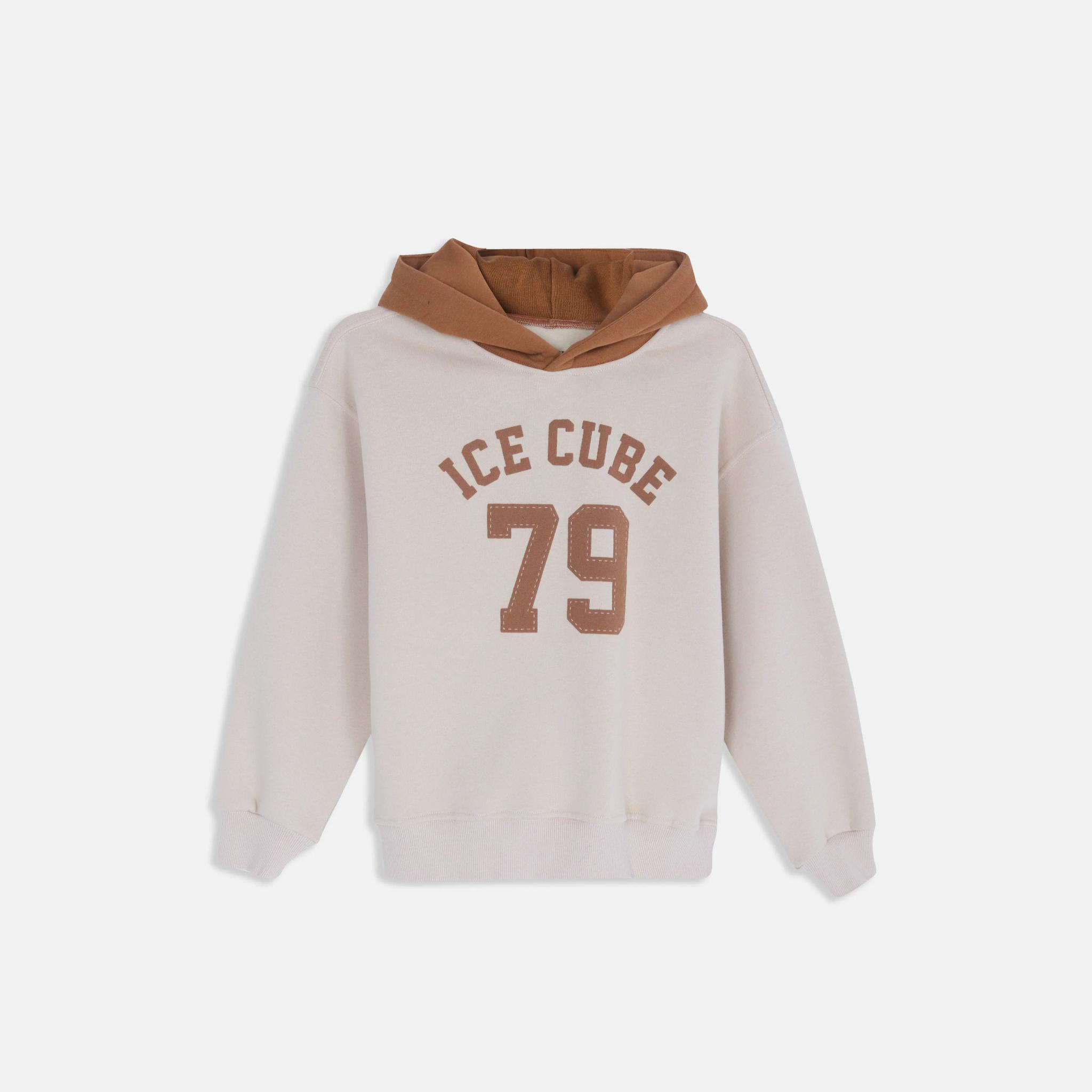 سويت شيرت بغطاء رأس متباين للأولاد product image